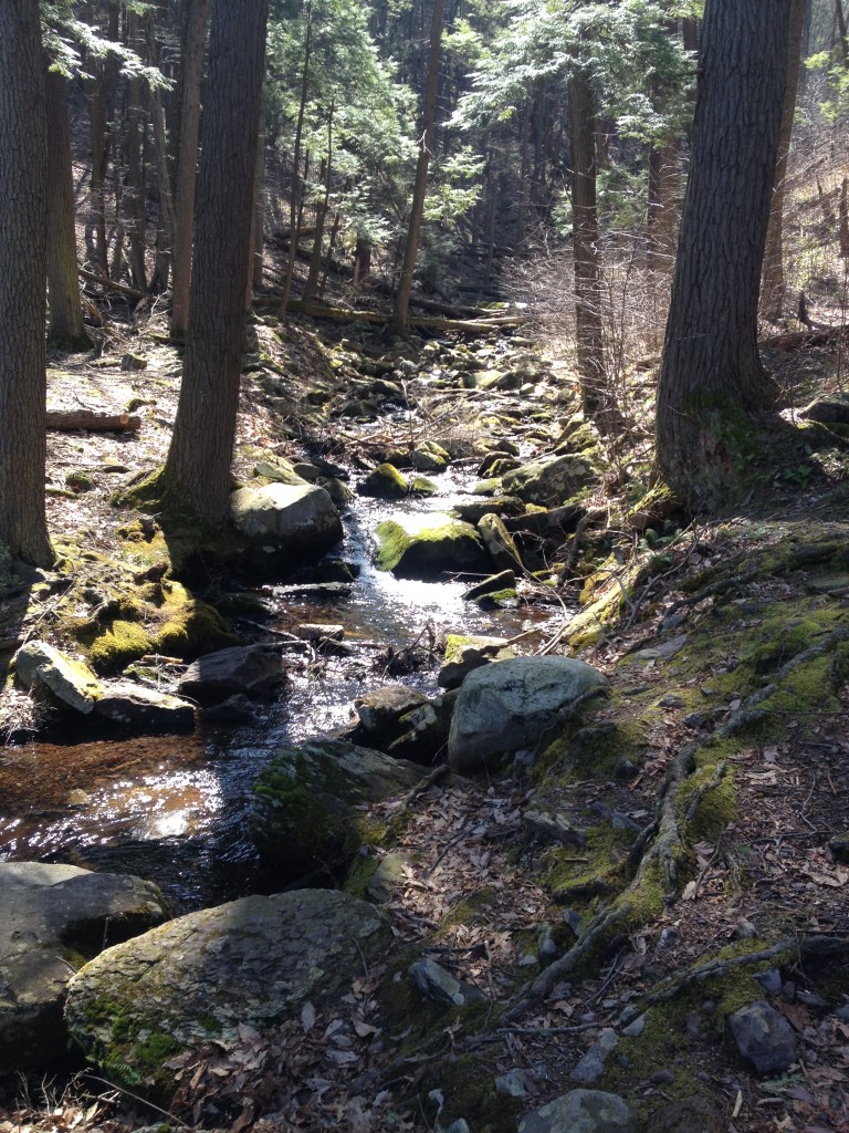 Stream feeding the falls