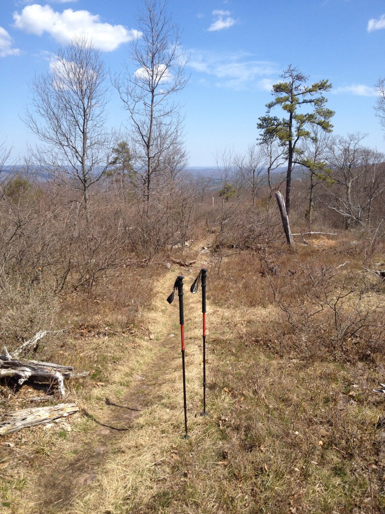 View from the first ridge