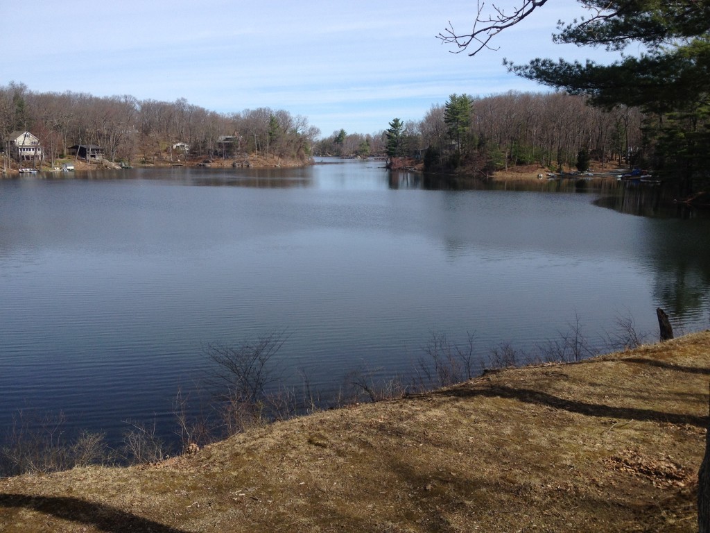 Panther Lake